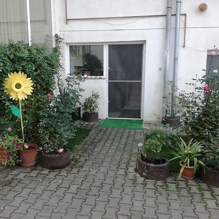 Vila Nely Rîşnov Ngoại thất bức ảnh