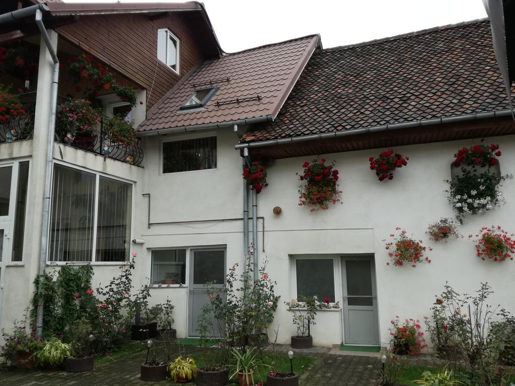Vila Nely Rîşnov Ngoại thất bức ảnh