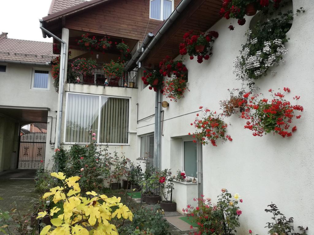 Vila Nely Rîşnov Ngoại thất bức ảnh