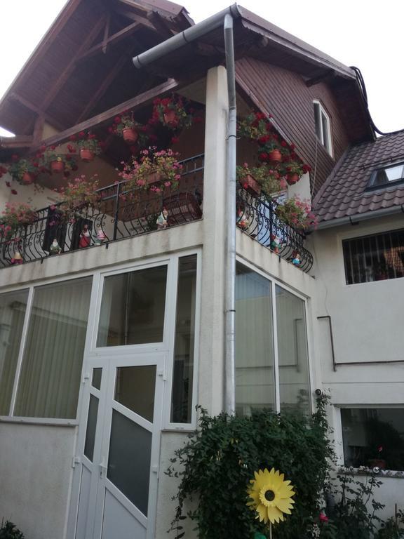 Vila Nely Rîşnov Ngoại thất bức ảnh